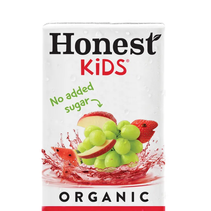 Wendy's Honest Kids Fruit Punch